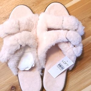 LOFT House slippers